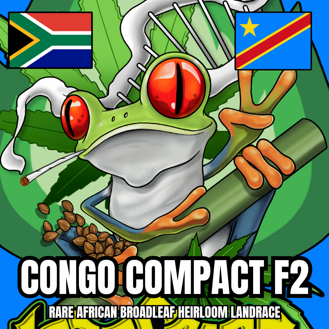 Congo Compact - Click For Secure Payment