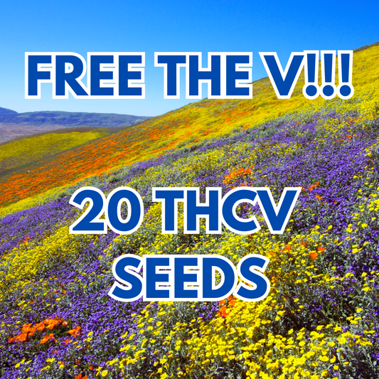 THCV Cannabis Seeds